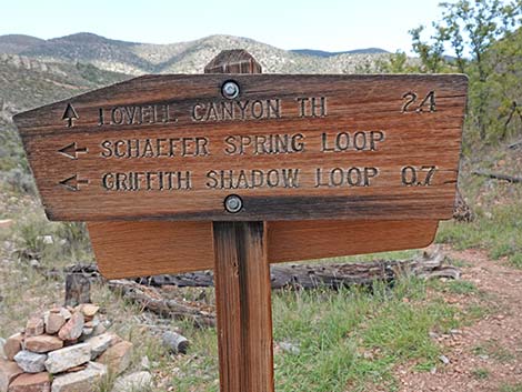 Lovell Canyon Trail