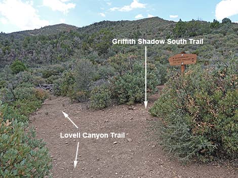 Lovell Canyon Trail