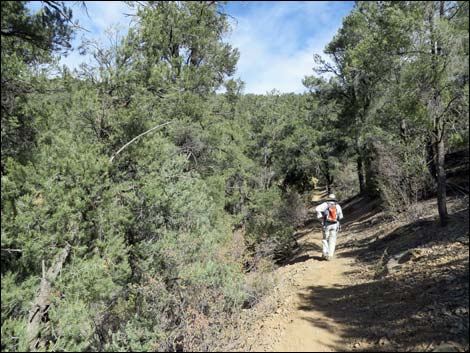 Lovell Canyon Trail