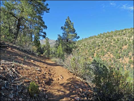 Lovell Canyon Trail