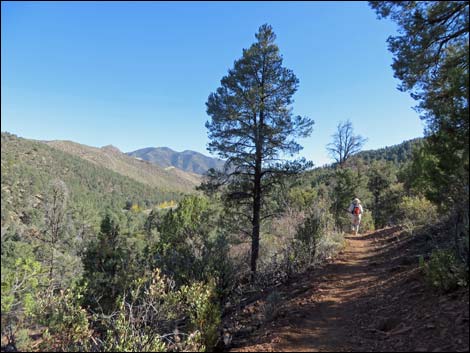 Lovell Canyon Trail