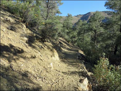 Lovell Canyon Trail