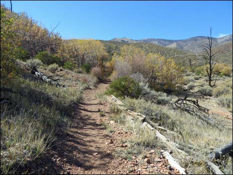 Lovell Canyon Trail