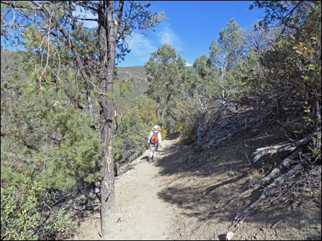 Lovell Canyon Trail