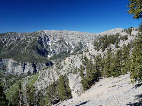 Mt. Charleston Wilderness Area