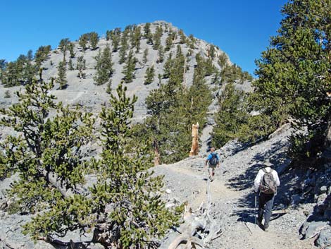 North Loop Trail -- North Ridge