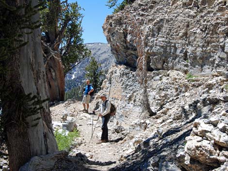 North Loop Trail -- North Ridge