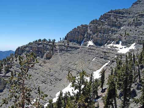 Mt Charleston, East Face