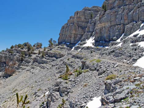 Mt Charleston, East Face