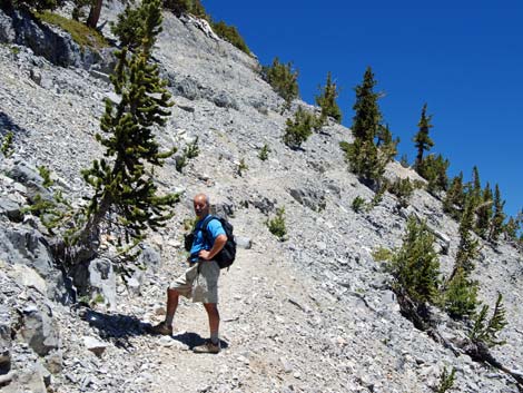 Mt Charleston, East Face