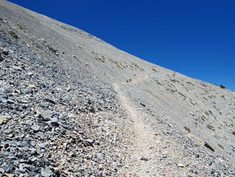 Mt Charleston, East Face