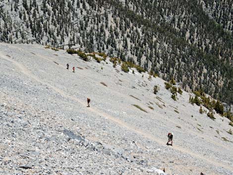 Mt Charleston, East Face