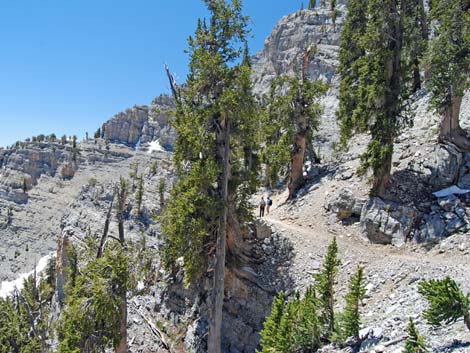 Mt Charleston, East Face