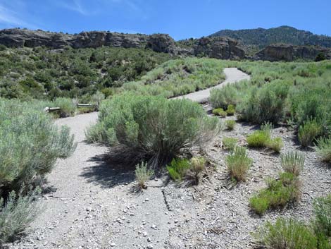 Escarpment Trail