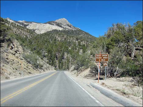 deer creek road