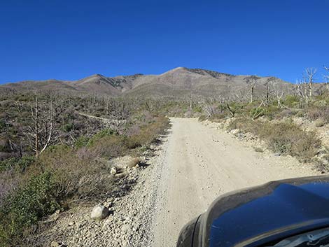 Harris Mountain Road