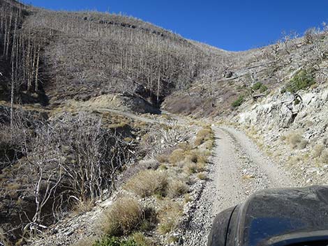 Harris Mountain Road