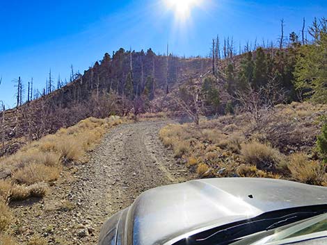 Harris Mountain Road