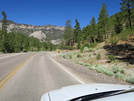 Stanley B Springs Trailhead