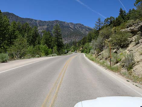 Kyle Canyon Road