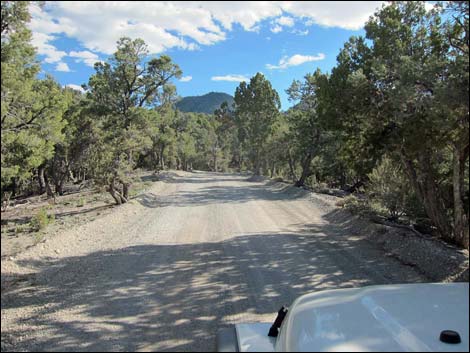 Mack's Canyon Road