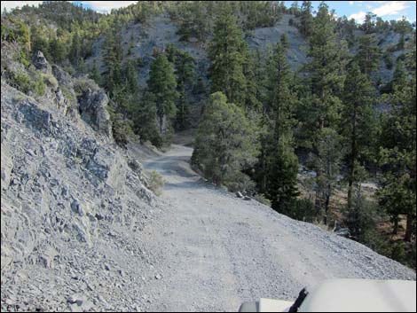 Mack's Canyon Road