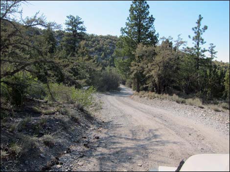 Mack's Canyon Road