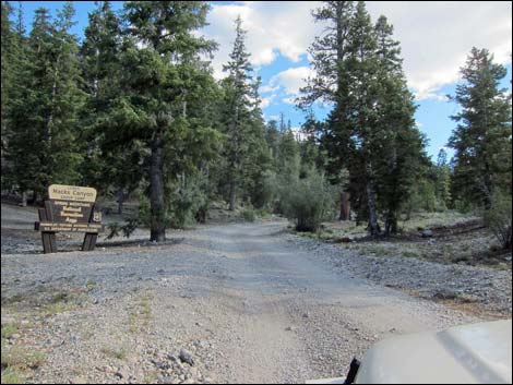 Mack's Canyon Road