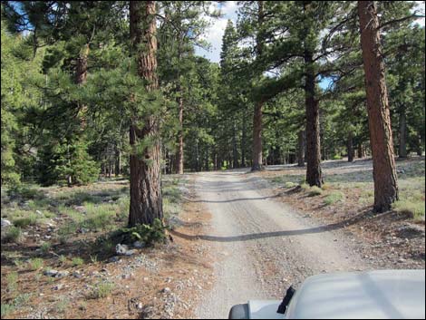 Mack's Canyon Road