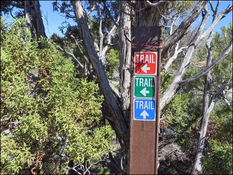 Big Sawmill Loop Trail