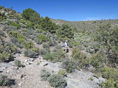 Rocky Gorge Loop Trail