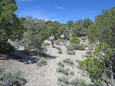 Rocky Gorge Loop Trail