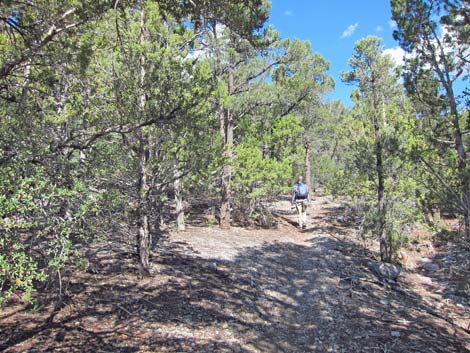 Lower Telephone Canyon Trail