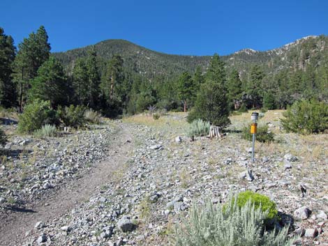 Bonanza Trailhead