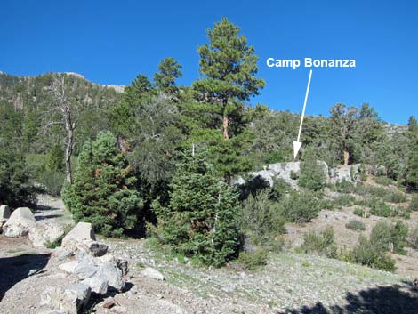 Bonanza Trailhead