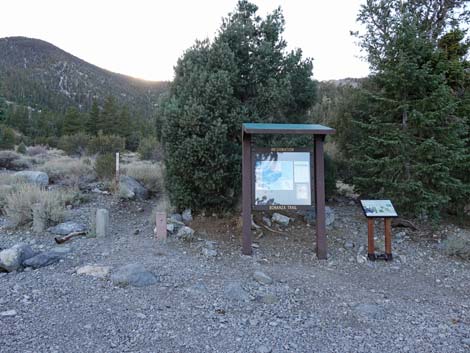 Bonanza Trailhead