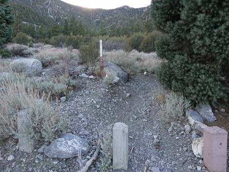 Bonanza Trailhead