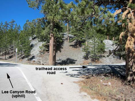 Lower Bristlecone Trailhead