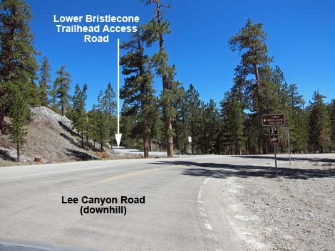 Lower Bristlecone Trailhead