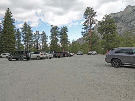 Lower Bristlecone Trailhead