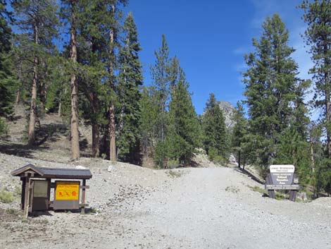 Lower Bristlecone Trailhead