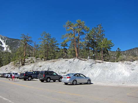 Upper Bristlecone Trailhead