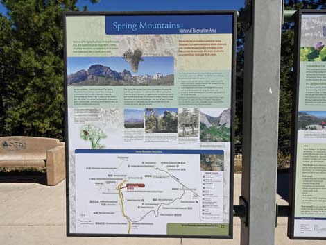 Cathedral Rock Trailhead