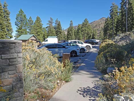 Cathedral Rock Trailhead