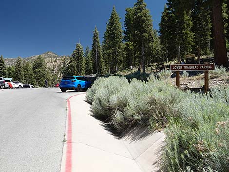 Cathedral Rock Trailhead