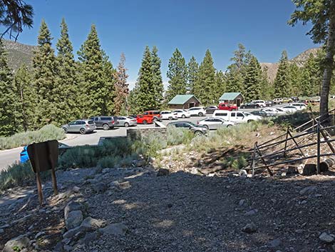 Cathedral Rock Trailhead