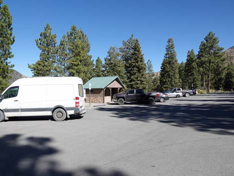 Cathedral Rock Trailhead