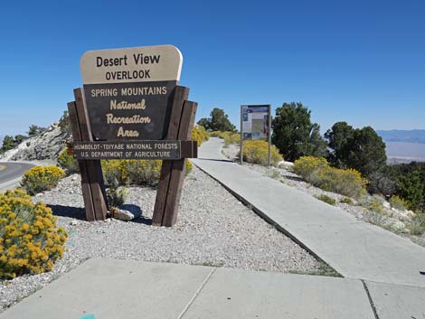 Desert View Overlook Trail