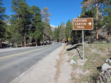 Fletcher Canyon Trailhead