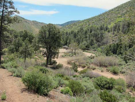 Lovell Canyon Trailhead